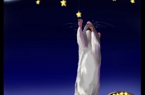 Reach for the Stars